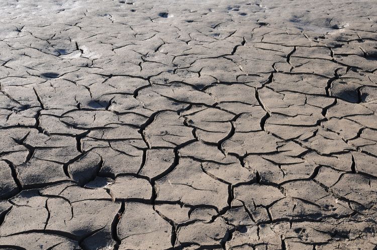 España sufre una situación de sequía preocupante 