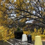 Más de 900.000 usuarios sin suministro eléctrico en Quebec (Canadá)