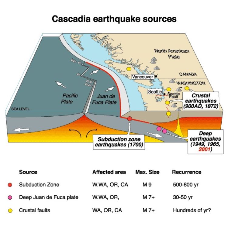 Averiguan el tipo de actividad sísmica que provocó el megaterremoto de 1700 en Cascadia