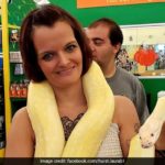 Muere estrangulada por una pitón de más de 2 metros (Estados Unidos)