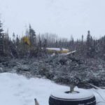Avión de carga queda “detenido” en un bosque tras chocar contra unos árboles (Canadá)