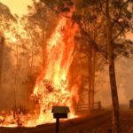 Mega incendio arde sin control al norte de Sídney (Australia)