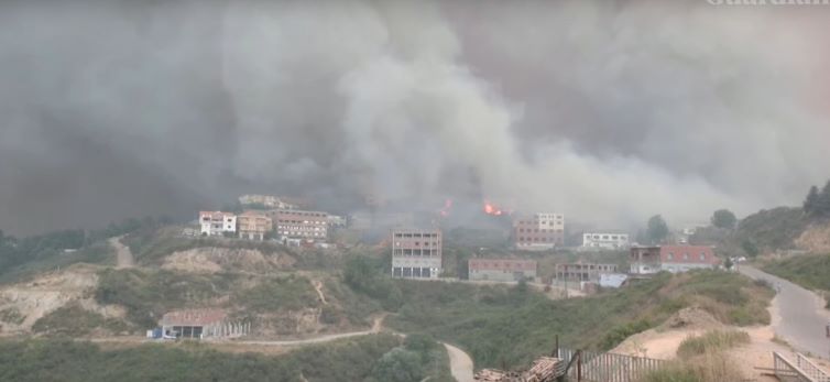 Tragedia en Argelia. Al menos 65 personas perecen presas de las llamas.