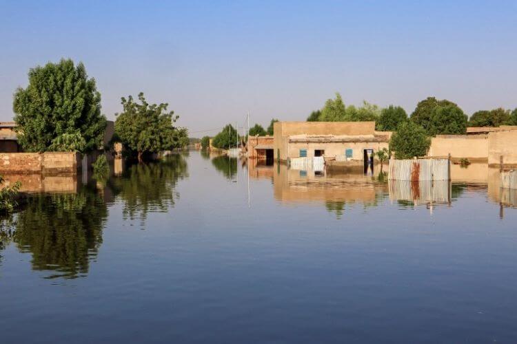 Uno de los países más áridos del mundo sufre inundaciones excepcionales (Chad)