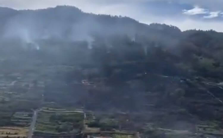 Emergencia máxima en Tenerife por un incendio forestal que ha forzado evacuaciones en Santa Úrsula y La Orotava (España)