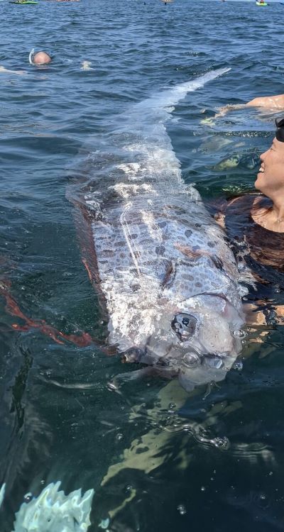 ¿El sur de California podría sufrir un terremoto de gran intensidad en un futuro cercano? (Estados Unidos)